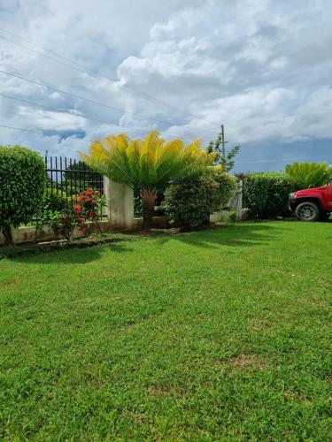 Bula Breeze, Nadi (photo 8)