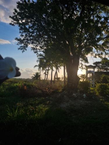 Bula Breeze, Nadi (photo 10)