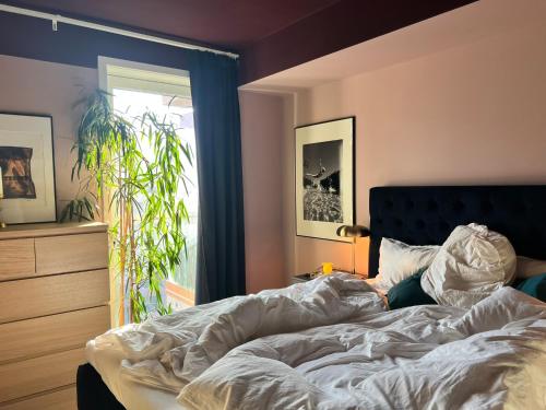 Sunny apartment close to the sea, Oslo (photo 9)