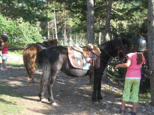 Camping le Chêne