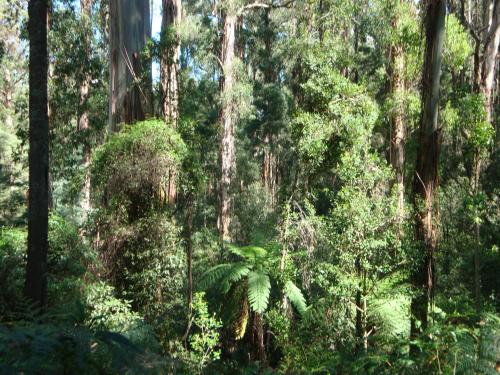 رياضة و نشاطات, SIGNAL BOX Short Stay in Gembrook