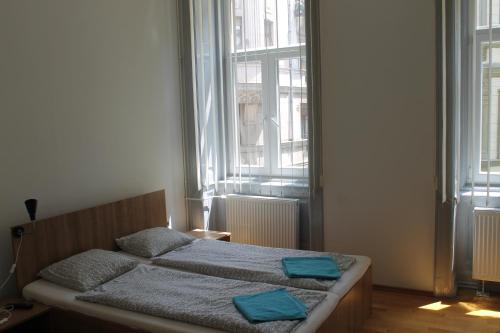Capital Guesthouse Budapest - image 8