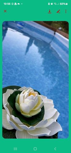 Chrysanthi's House 2