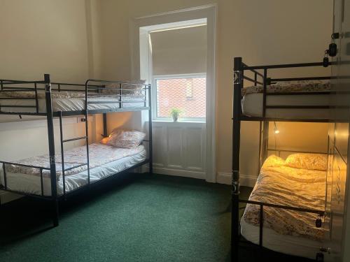 Botanic Avenue Hostel less than a mile from the City Centre 3
