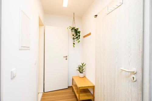 StayTime - Olive Nest, Drážďany (fotografie 10)