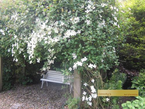 Conways B&B in Claremorris