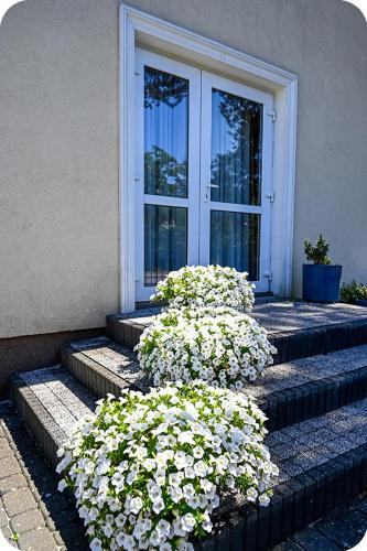 Hotel Gracja in Brok