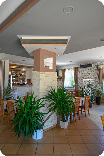 Hotel Gracja