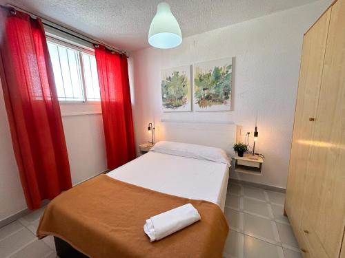 One-Bedroom Apartment image 6