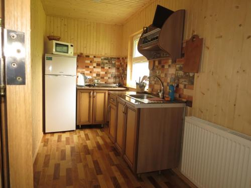 Bilyy Kamin Guest House in Selo Tatariv