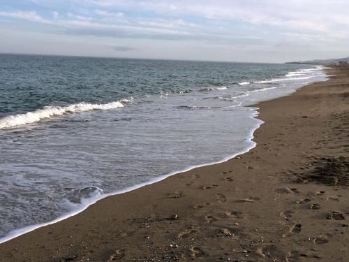 Apartamento VenAVera Playa Jardines de Nuevo Vera E1-1D Primera Linea WIFI