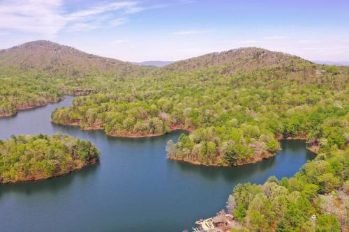 Castaway Cottage - Enjoy peace and quiet in Big Canoe in Holcomb, USA