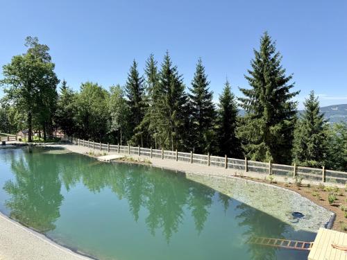 Ferienhaus mit Panoramaausblick und Sauna - 3 SZ in Pöllauberg