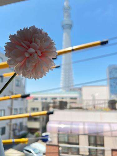 nestay inn tokyo skytree