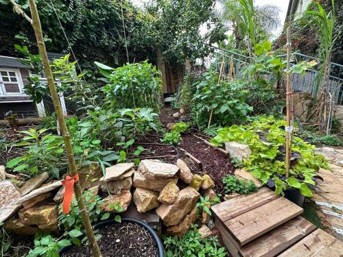 Garden of Eden Accommodation Unit in the heart of Carmel in Mount Carmel