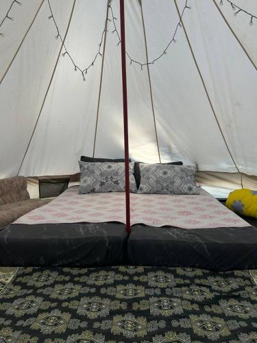Ne Dacha типи in Kirpichny