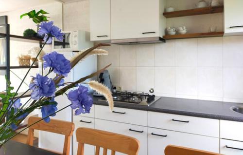 مطبخ, Vakantiewoning aan De Grevelingen in Schouwen-Duiveland