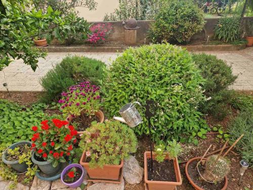 Apartman Ruza - image 7