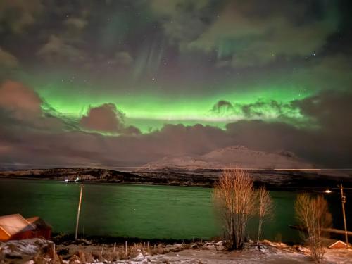 View, Arctic View Apartment - Country Retreat near Tromso in Straumsbukta