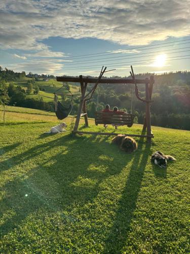 Apartament Kierunek Tatry