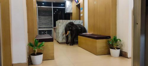 Hotel Eastern in سلطان باتاري