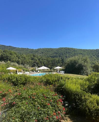 Навколишнє середовище, Resort con vista nel Chianti Rufina in Лонда