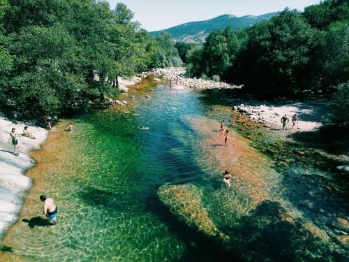 Hostal Rural los Alisos in Navalonguilla