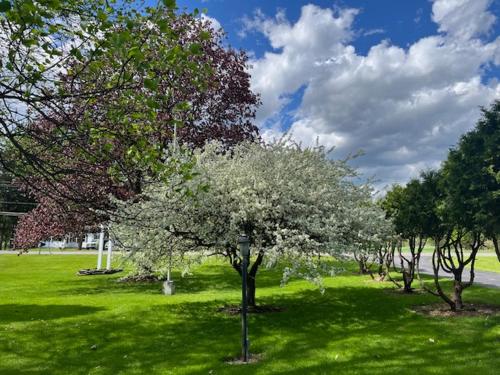 Nightshade Inn & Gardens