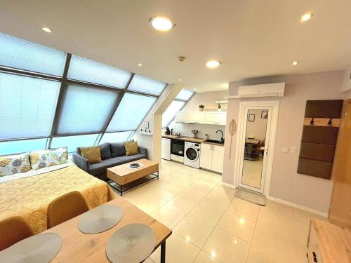 Studio Leon, Warna (Foto 2)