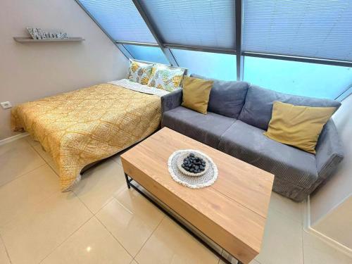 Studio Leon, Warna (Foto 6)