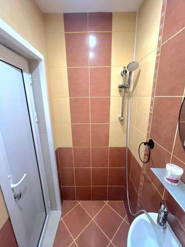 Studio Leon, Warna (Foto 8)