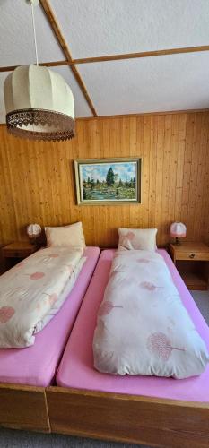 The Saxeten at alps in Saxeten