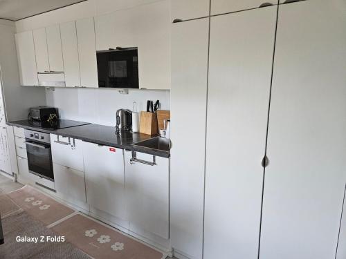 Modern 61m apt,own private sauna in Toivola