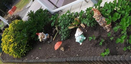 Haus-Dannigkow in 戈門