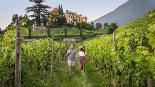 Hotel Der Weinmesser - image 12