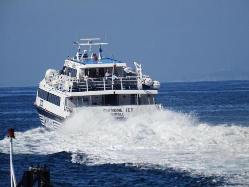 Incoming Cesare Cortese