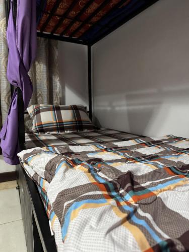 Bunk Bed in Mixed Dormitory Room image 1