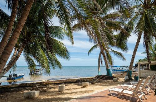 Kilátás, Hotel San Luis Place By Dorado in La Loma