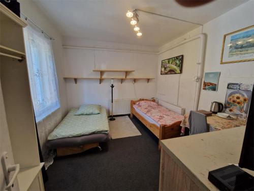 1 twin bed, 1 sofa bed