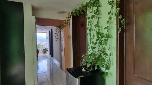 Hotel El Eden 4 per 15 in Zacatlan