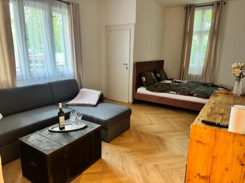 Apartmán u Vetešnictví (Apartman u Vetesnictvi) in วิตโควิเช