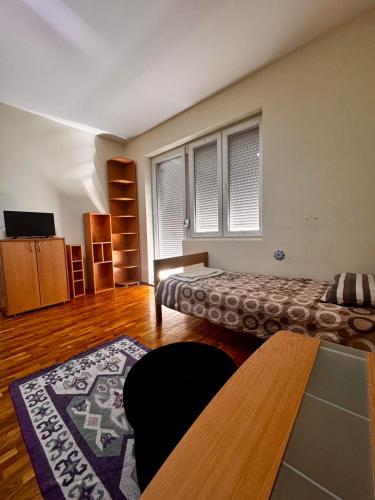 Koco ebac, Skopje (fotografie 6)