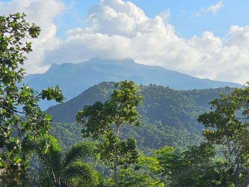 Sweet Caribbean Home - image 8