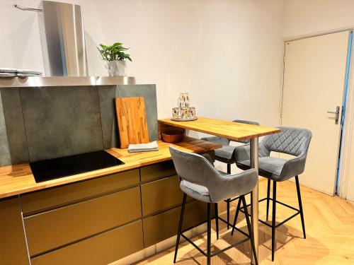 Apartmán u Vetešnictví (Apartman u Vetesnictvi) in วิตโควิเช