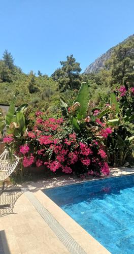 Villa Anı, Antalya (photo 10)