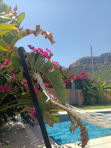 Villa Anı, Antalya (photo 9)