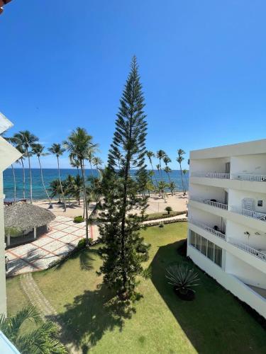 Vista palmera in Villas Del Mar