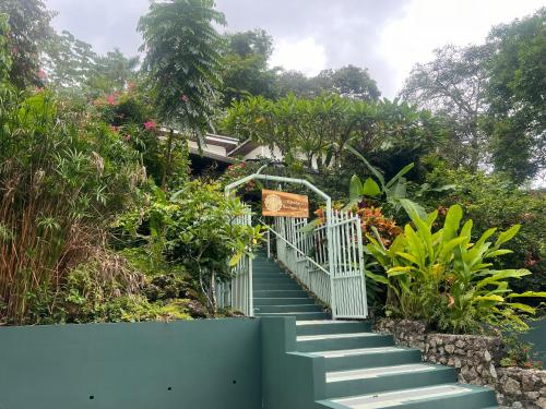 Kika Zaru Free MA Park Tour & Breakfast in Quepos