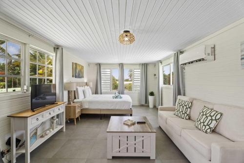WLR5 - Studio near Palm Beach - White Lotus Retreat, Palm-Eagle Beach (foto 6)