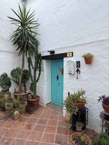 Ar2N San Pedro 8 gîte à louer Genalguacil